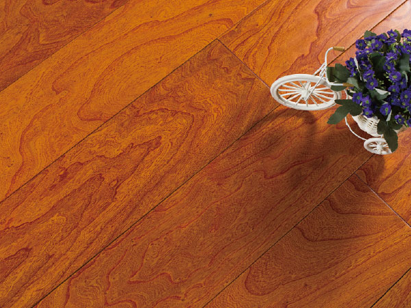 ��h��(f��)�ϵذ�İ��b���E